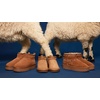 image:imageSteve Madden Womens Crue Ankle Platform BootChestnut