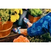 image:imageSteve Madden Womens Hadyn SandalBlue Multi Scarf