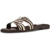 Zebra1