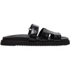 Black Crocodile