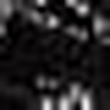 image:imageSteve Madden Apparel Cindi Skirt Black L