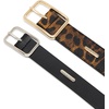 image:imageSteve Madden Womens Black and Leopard Pant Belt PackBlackLeopard