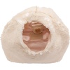 image:imageSteve Madden Womens Steve Madden Ryanna Mini HoboCream